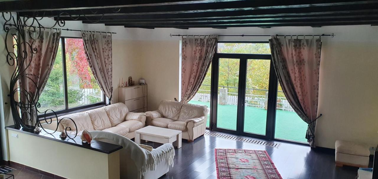 Casa Yla Piatra Neamţ Exterior foto