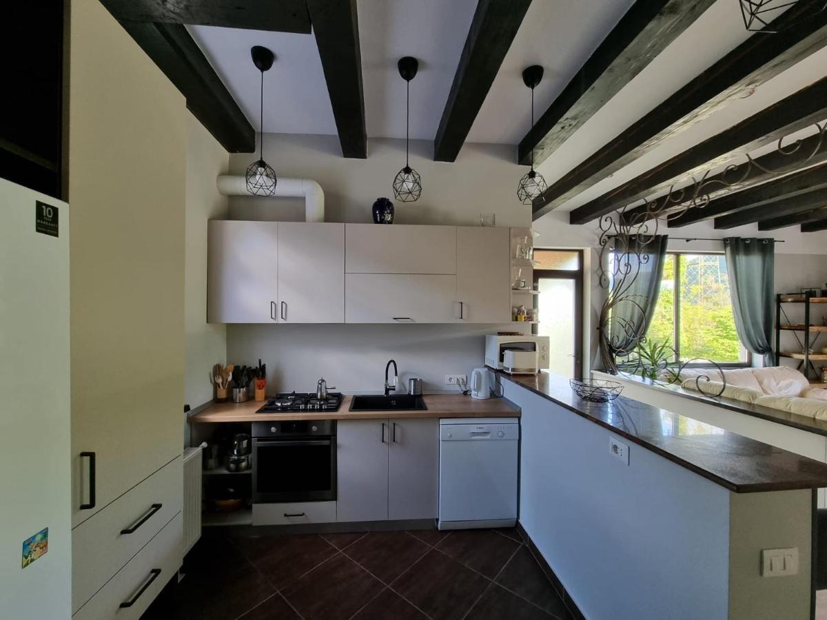 Casa Yla Piatra Neamţ Exterior foto